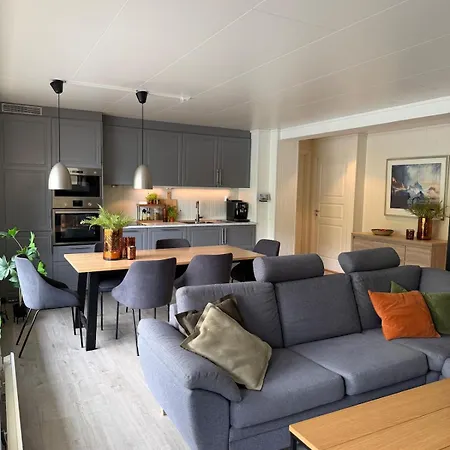 Modern Lakefront With View - Ev Plug Apartment Stryn