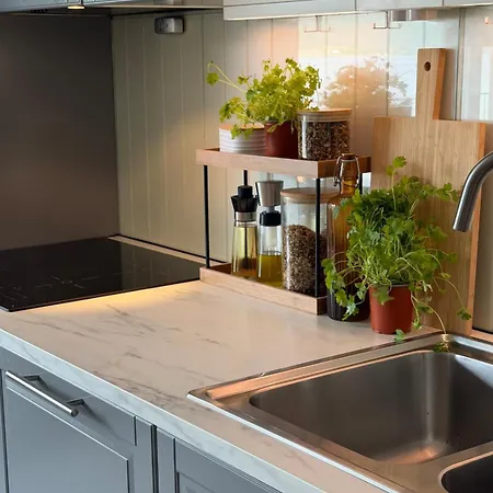 Apartment Modern Lakefront With View - Ev Plug Stryn